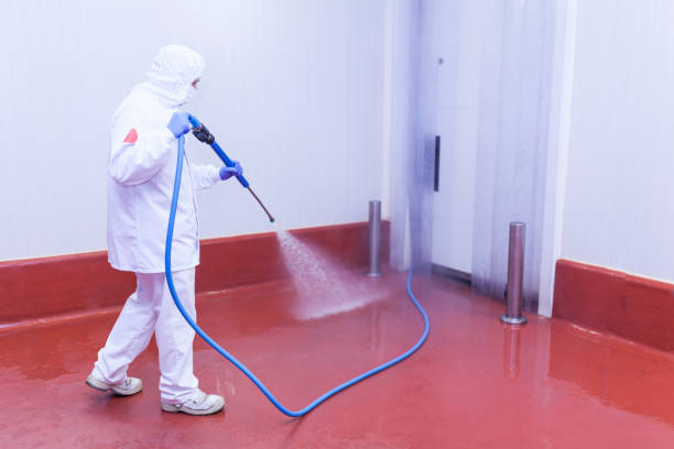 Best Solar Panel Cleaning  in Oakbrook Terrace, IL