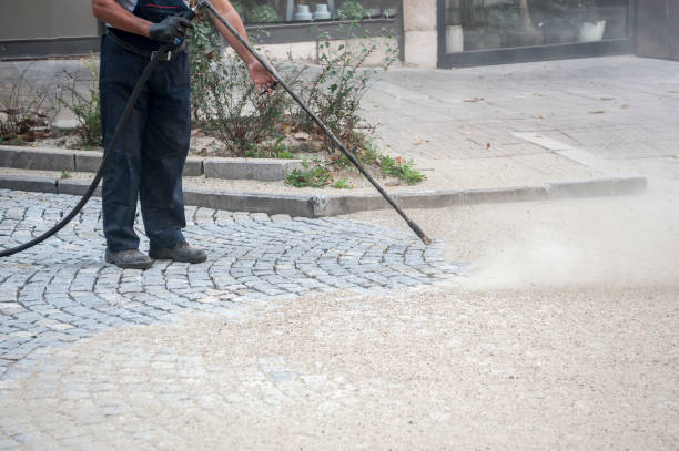Best Sidewalk and Walkway Cleaning  in Oakbrook Terrace, IL
